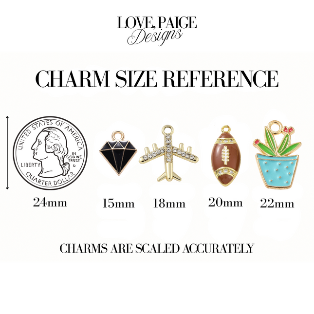 Airplane Silver Charm