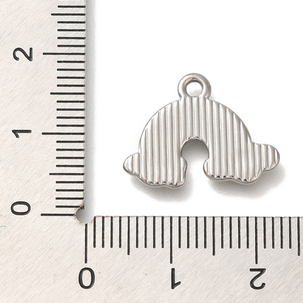 Rainbow Silver Charm