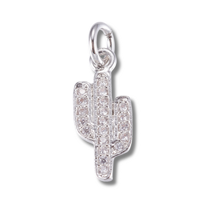 Cactus Silver Charm
