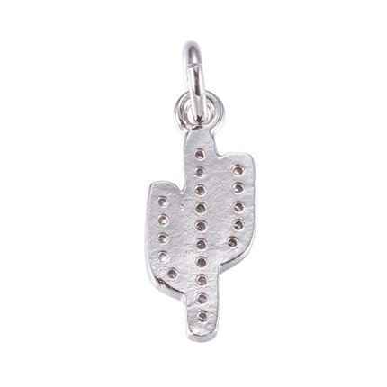 Cactus Silver Charm