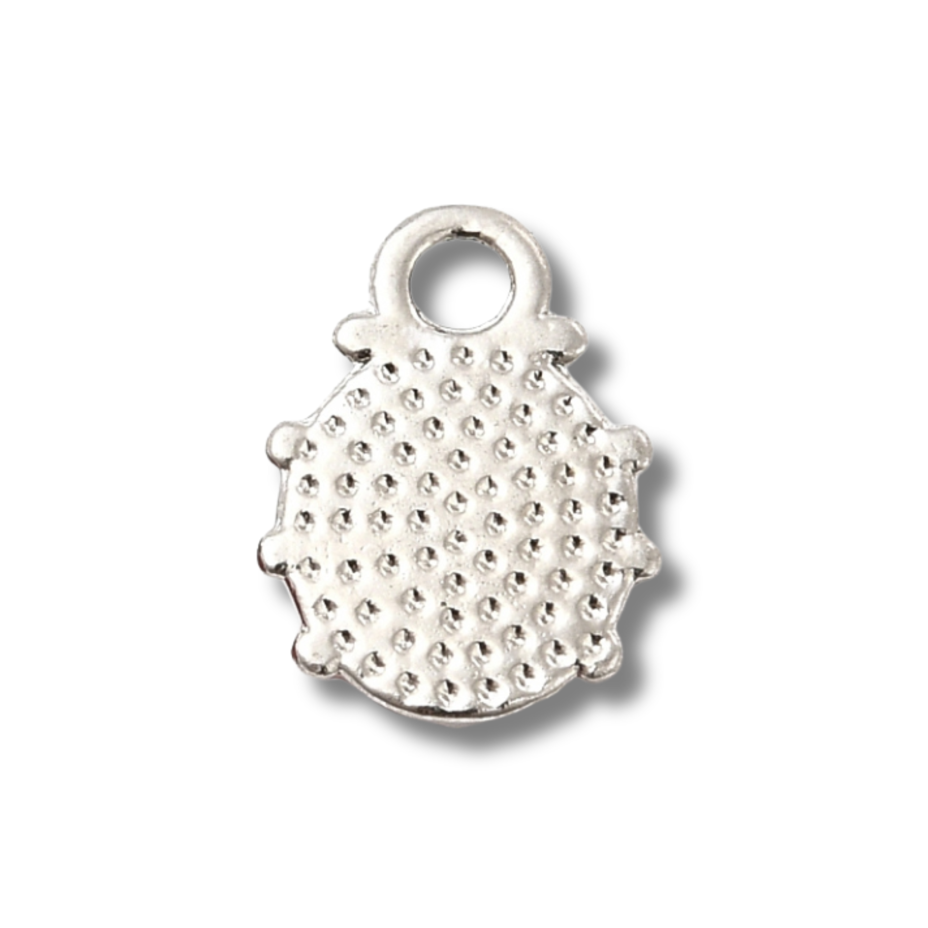 Ladybug Charm