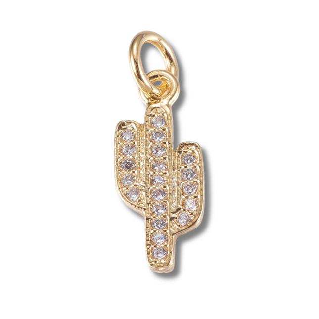Cactus Charm