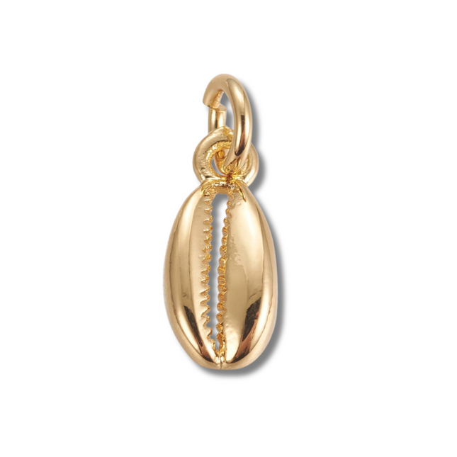 Cowrie Shell Charm