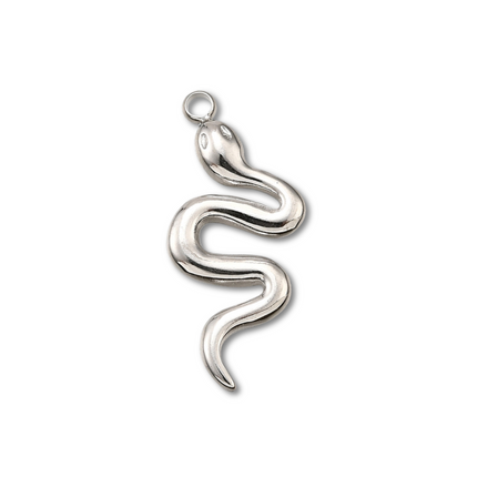 Snake Silver Charm