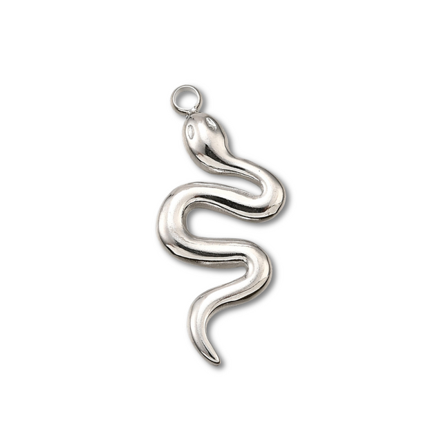 Snake Silver Charm