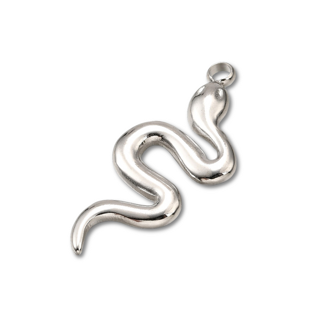 Snake Silver Charm