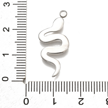 Snake Silver Charm