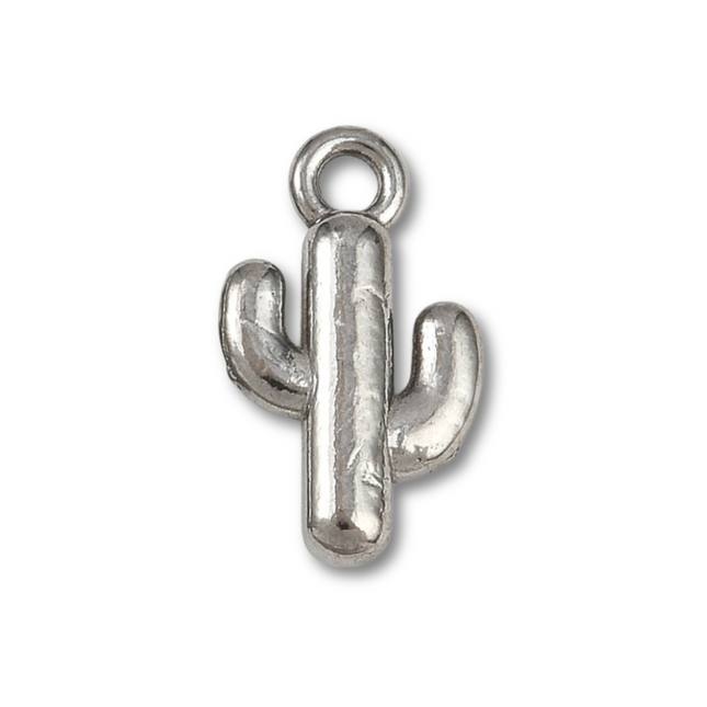 Cactus Silver Charm