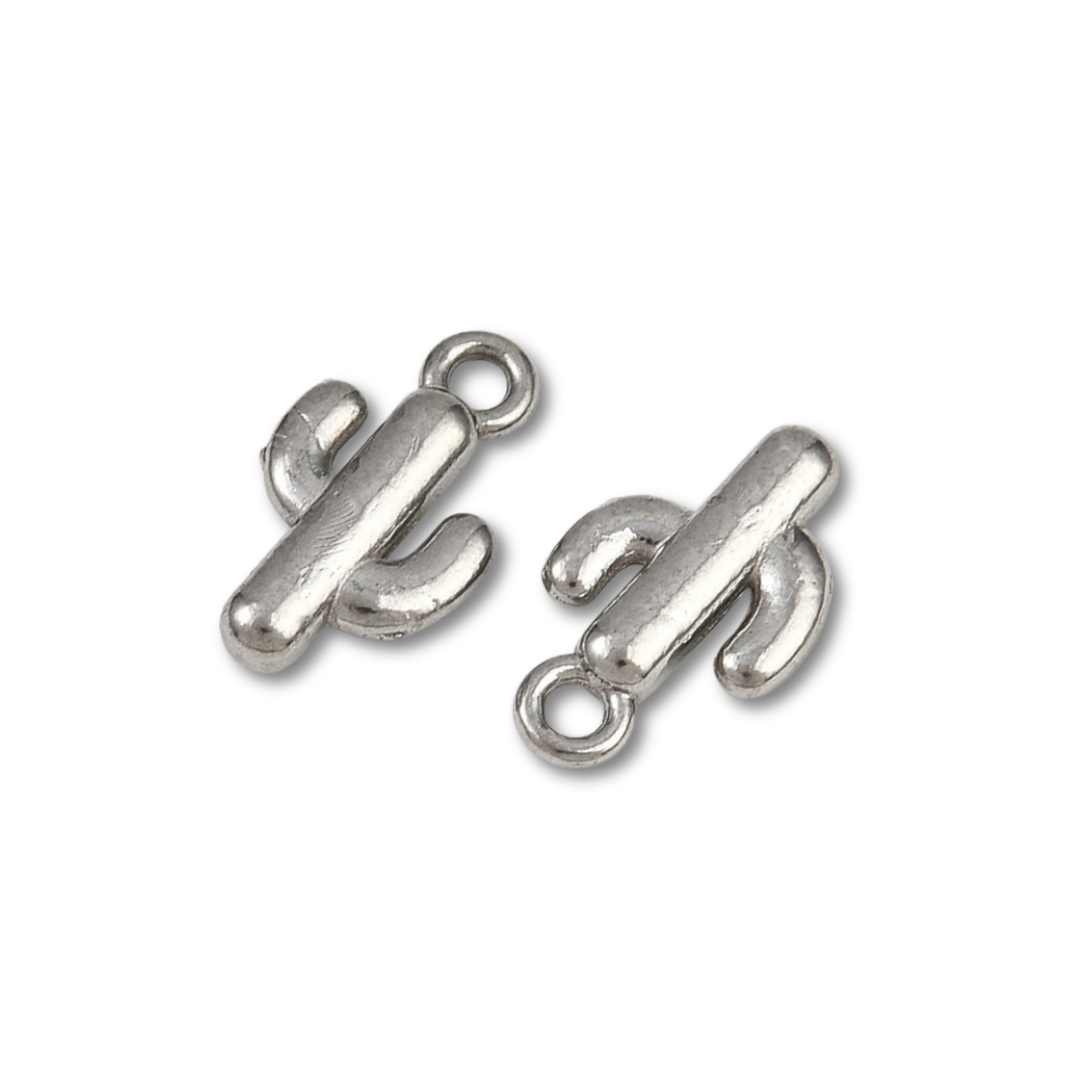 Silver Stainless Steel Cactus Charm