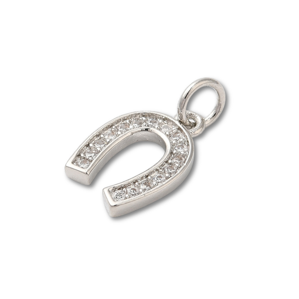 Brass Silver Horseshoe Charm
