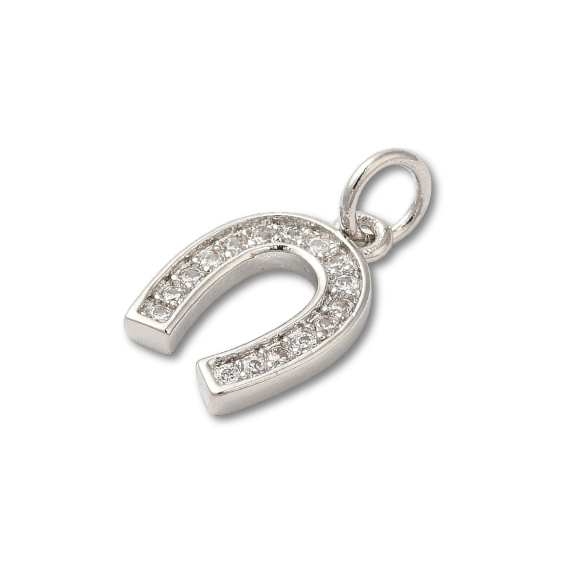 Brass Silver Horseshoe Charm