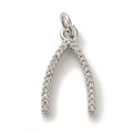 Silver Brass Wishbone Charm