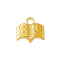 Gold Alloy Book Charm