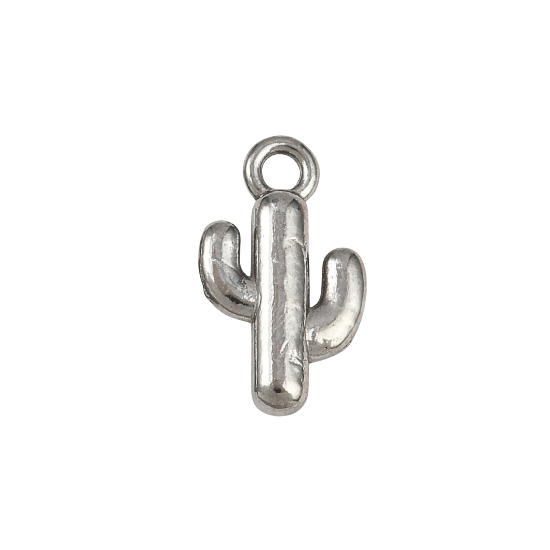 Silver Stainless Steel Cactus Charm
