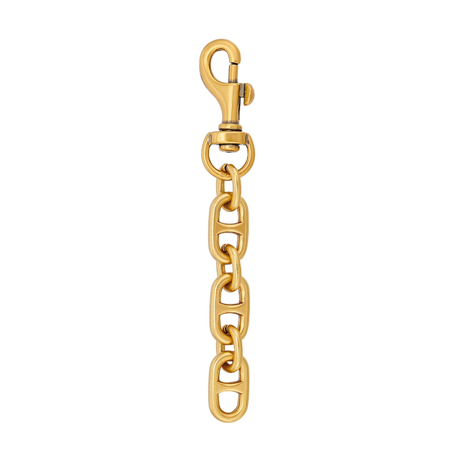 Gold Clip-On Bag Chain