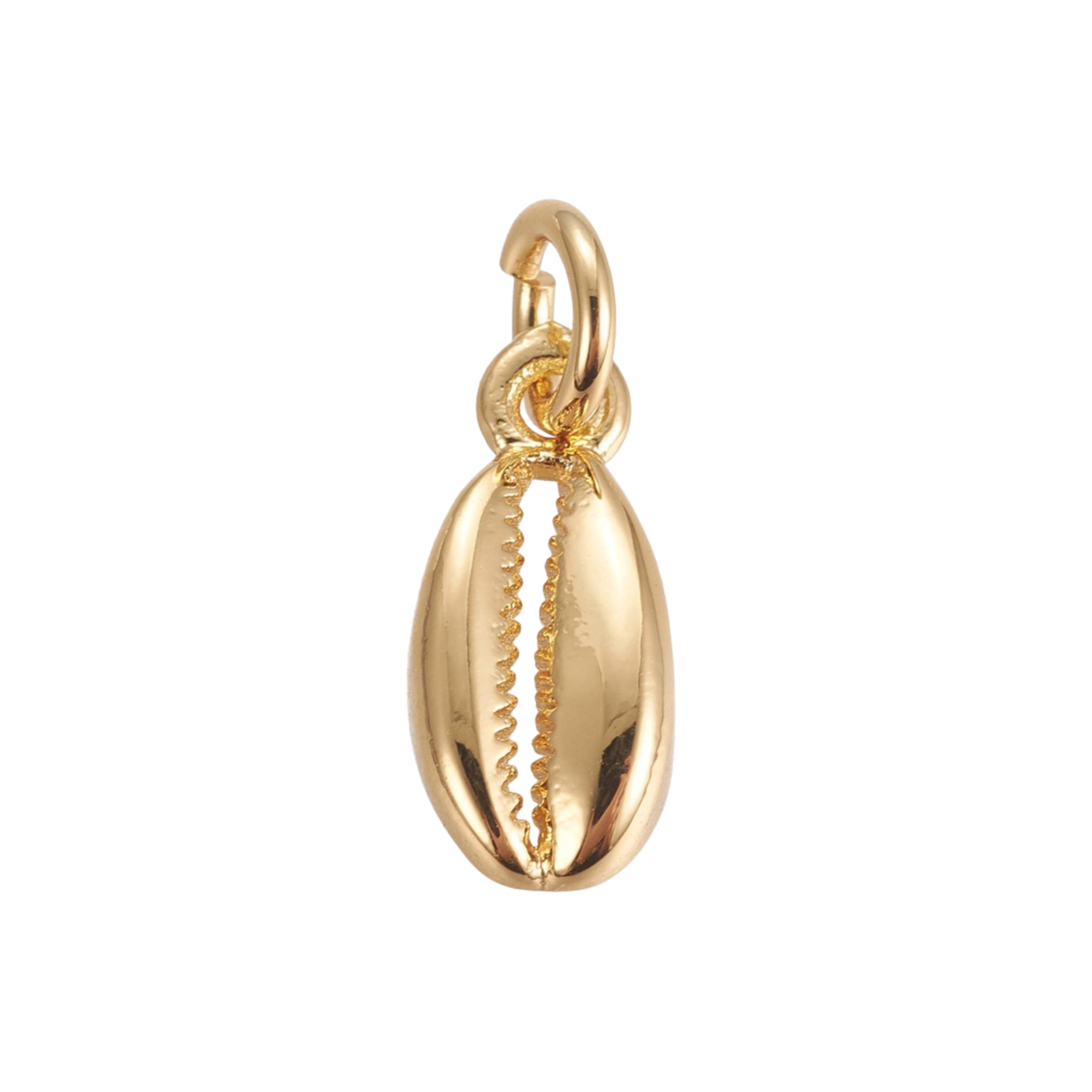 18k Gold Plated Brass Cowrie Shell Charm