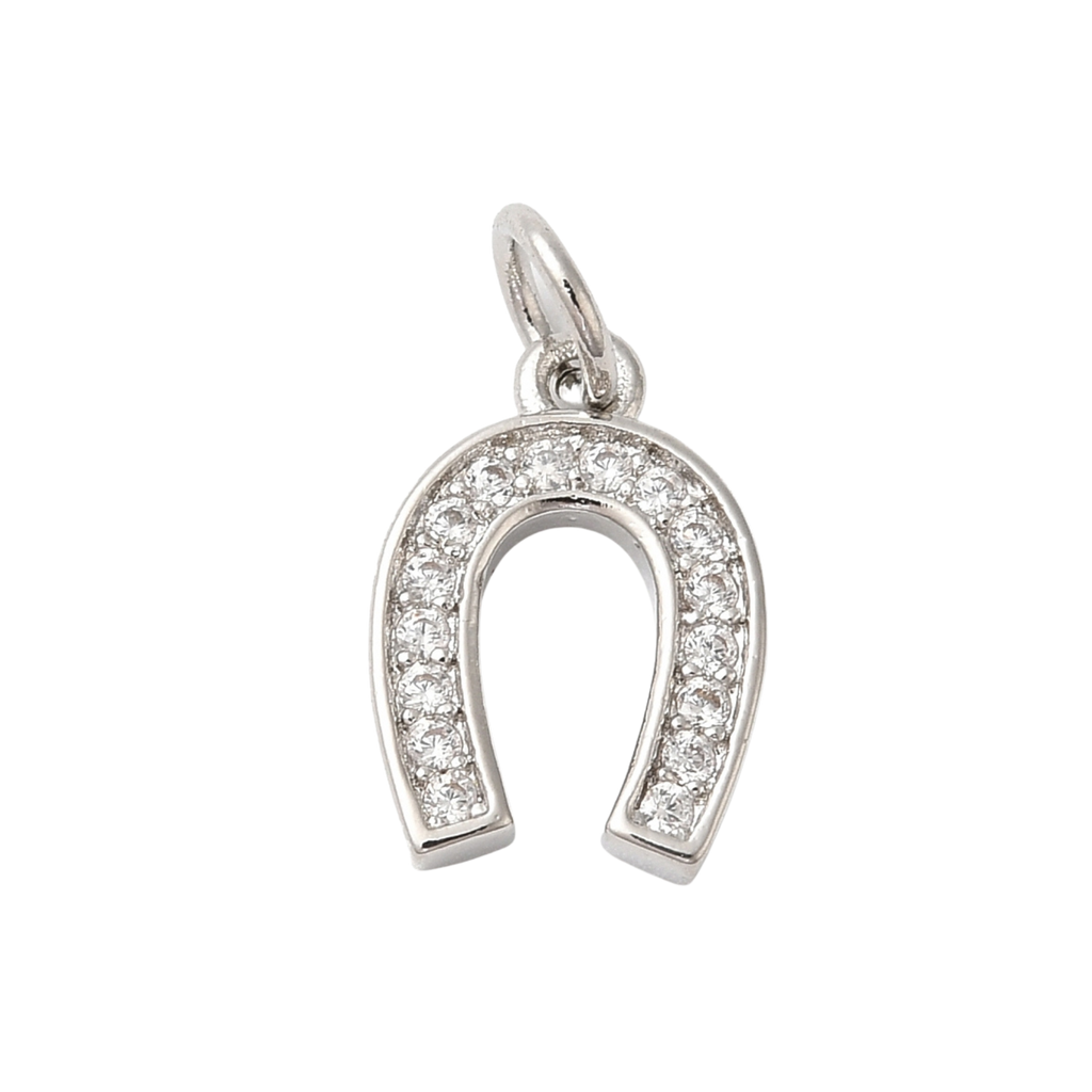 Brass Silver Horseshoe Charm