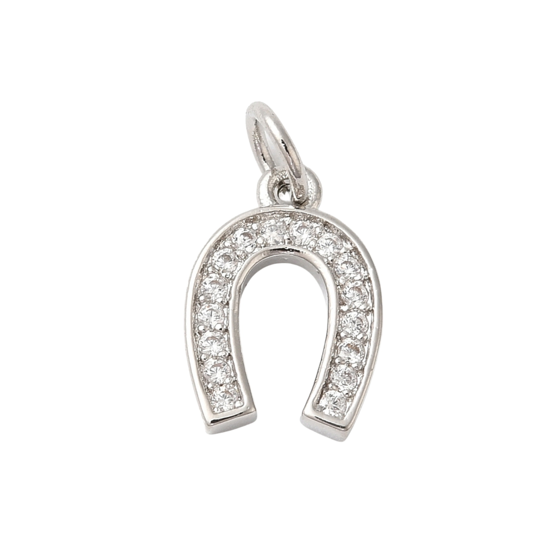 Brass Silver Horseshoe Charm