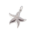 Silver Brass Starfish Charm